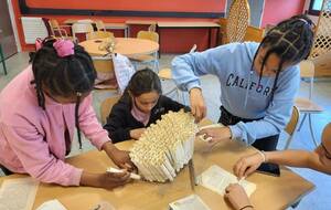 Prochaine expo en vitrine de l'Atelier aux Lunettes