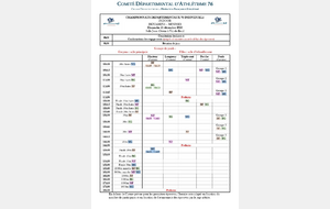Championnats individuels de Seine-Maritime benjamins /minimes